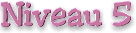 niveau5